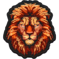 Lion with a Stare Patch