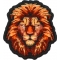 Lion with a Stare Patch