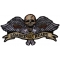 Loaded and Ready Skull Wings Pistols Patch