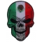 Mexican Flag Skull Patch