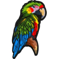 Parrot Patch