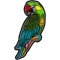 Parrot Patch