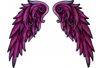 Group 7 pink angel