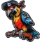 Pirate Parrot Patch