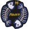 Pisces Skull Zodiac Sign Patch