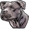 Pitbull Patch