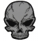 Reflective Skull Patch