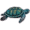 Sea Turtle Patch