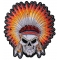 Indian Skull and Feathers Patch