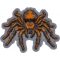 Spider Patch