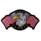 Star Spangled Banner Eagle Patch