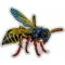 Wasp Patch