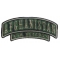 Afghanistan War Veteran Patch