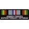 Armed Forces Expeditionary Patch