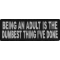 Being An Adult Is The Dumbest Thing I've Done Funny Iron on Patch