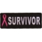 Breast Cancer Survivor Pink Ribbon Patch
