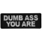 Dumb Ass You Are Patch