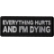 Everything Hurts and I'm Dying Patch