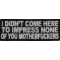 I Didn't Come Here To Impress None of You Motherfuckers Patch