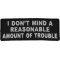 I Don't Mind A Reasonable Amount Of Trouble Naughty Iron on Patch