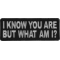 I Know You are But What Am I Iron on Morale Patch