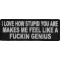 I Love How Stupid You Are Makes me Feeling Like a Fucking Genius Naughty Iron on Patch