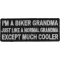 I'm A Biker Grandma Just Like A Normal Grandma Except Much Cooler Patch