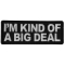 I'm Kind of a Big Deal Funny Iron on Patch