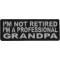 I'm Not Retired I'm A Professional GrandPa Funny Iron on Patch