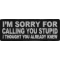 I'm Sorry For Calling You Stupid I Thought You Already Knew Funny Iron on Patch