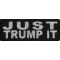 Just Trump It Funny Iron on Patch