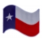 Texas Waving Flag White Border Patch