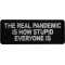 The Real Pandemic is How Stupid Everyone is Patch