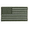 US Flag Patch Earth Green 2.5 Inch