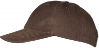 Brown Hat