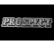 Prospect