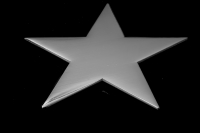Silver Star Pin