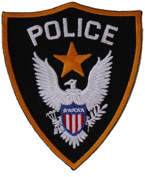 Thin Blue Line-Police Officer Private Issue Patch Eagle Scout