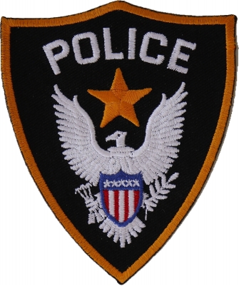 fire Texas shoulder police patch 4" x 5" size City of Naples 