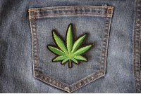 Pot Leaf Patch