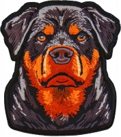 Rottweiler Stare Patch