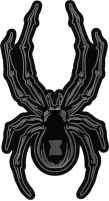 Large Iron on Spider Patch