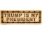 Trump is My President