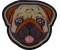 Pug