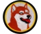 Cyrpto Doge