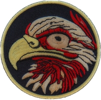Eagle Eye Iron on Patch