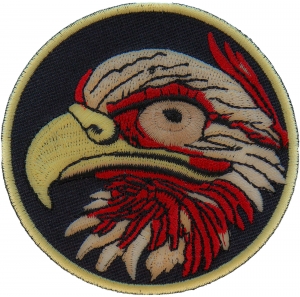 Eagle Eye Iron on Patch Eagle Eye Iron on Patch