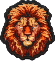 Lion with a Stare Patch