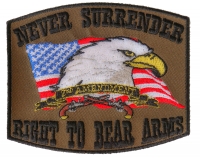 Never Surrender 2nd Amendment Patch In Army Green Color | US Military Veteran Patches