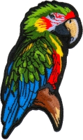 Parrot Patch